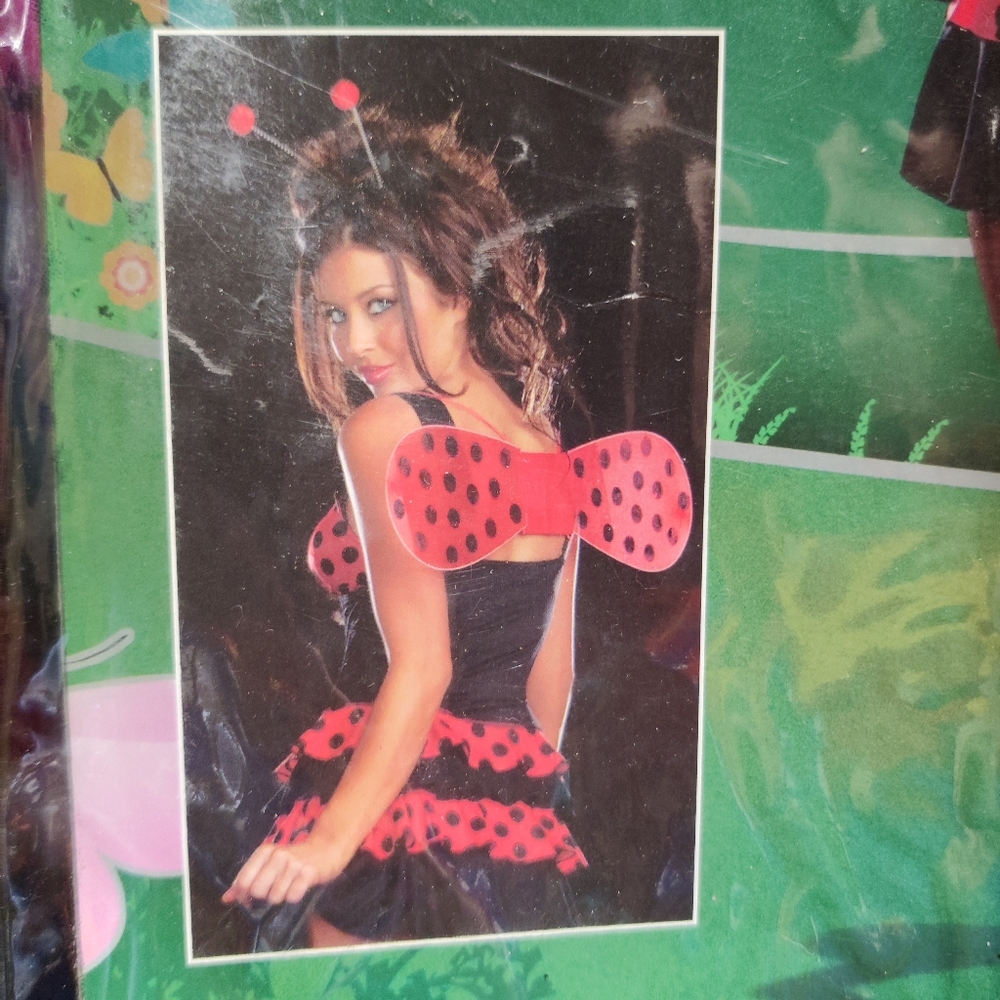 A ladybug Ladies costume - Picture 8 of 12